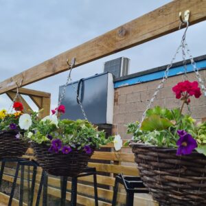 Wicker Hanging Basket