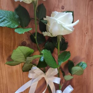 Single Rose
